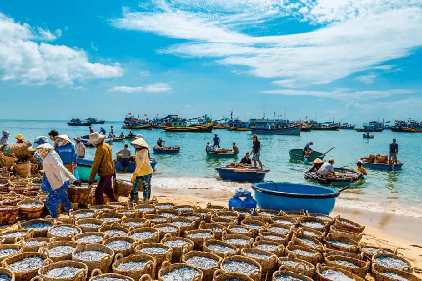 Khám Phá Bức Tranh Sôi Động Khi Tham Quan Làng Chài Mũi Né Sớm Khám Phá Bức Tranh Sôi Động Khi Tham Quan Làng Chài Mũi Né Sớm